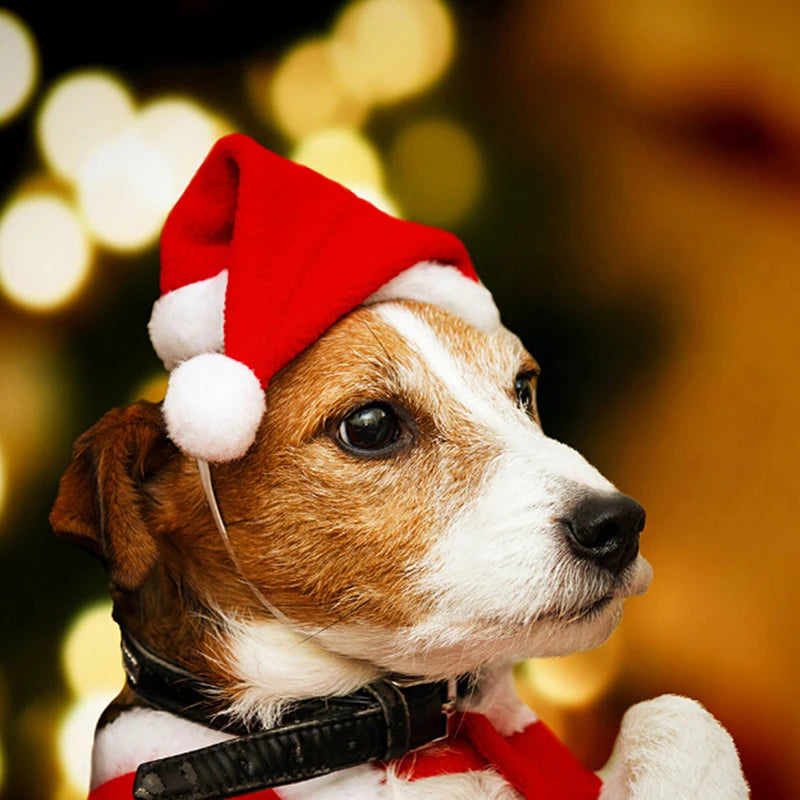 Christmas Pet Santa Hat Small Puppy Cat Dog