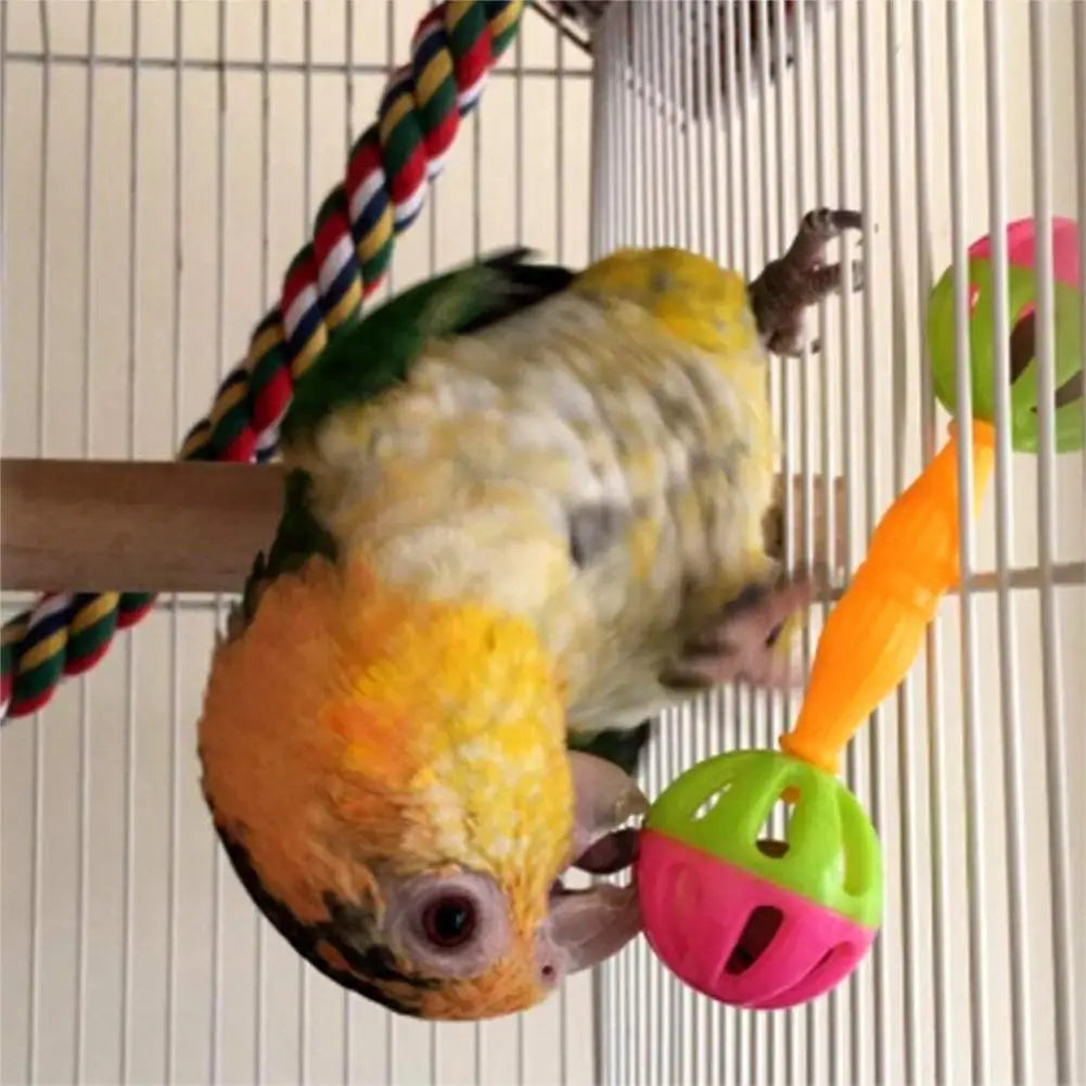 Parrot Toy Creative Pet Bird Parrot Hollow Double-head Bell Ball