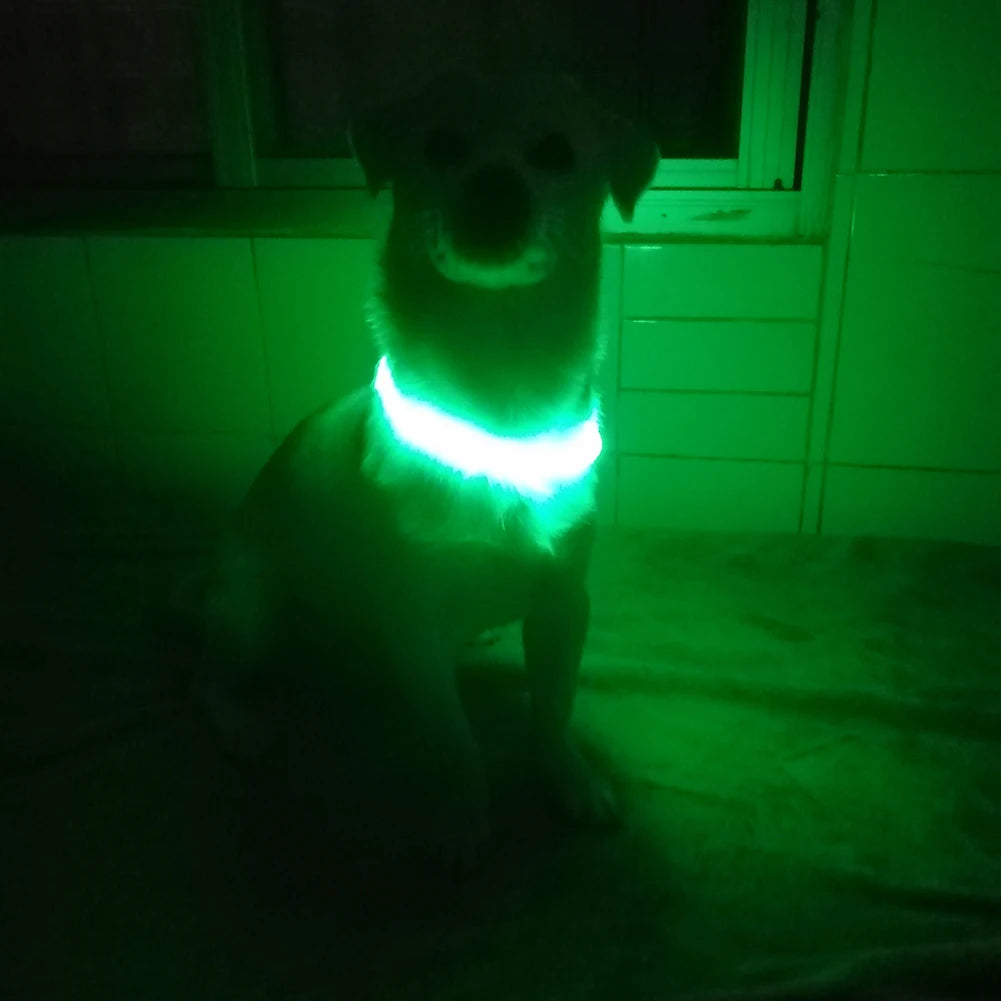 Adjustable LED Pet Collar Luminous Pet Safety Collars