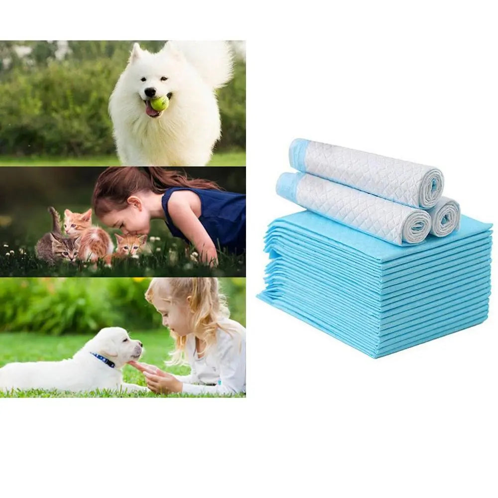 Pet Diaper Dog Training Pee Pads