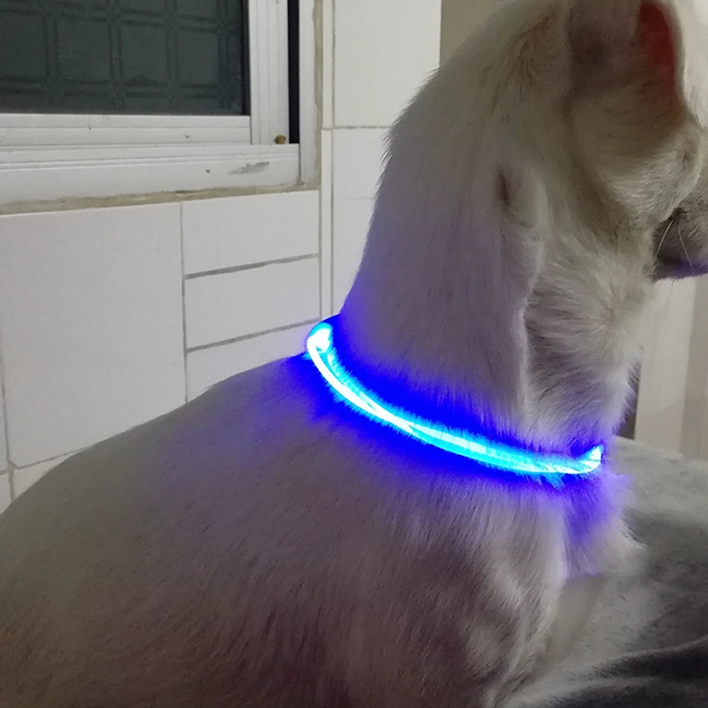 Adjustable LED Pet Collar Luminous Pet Safety Collars