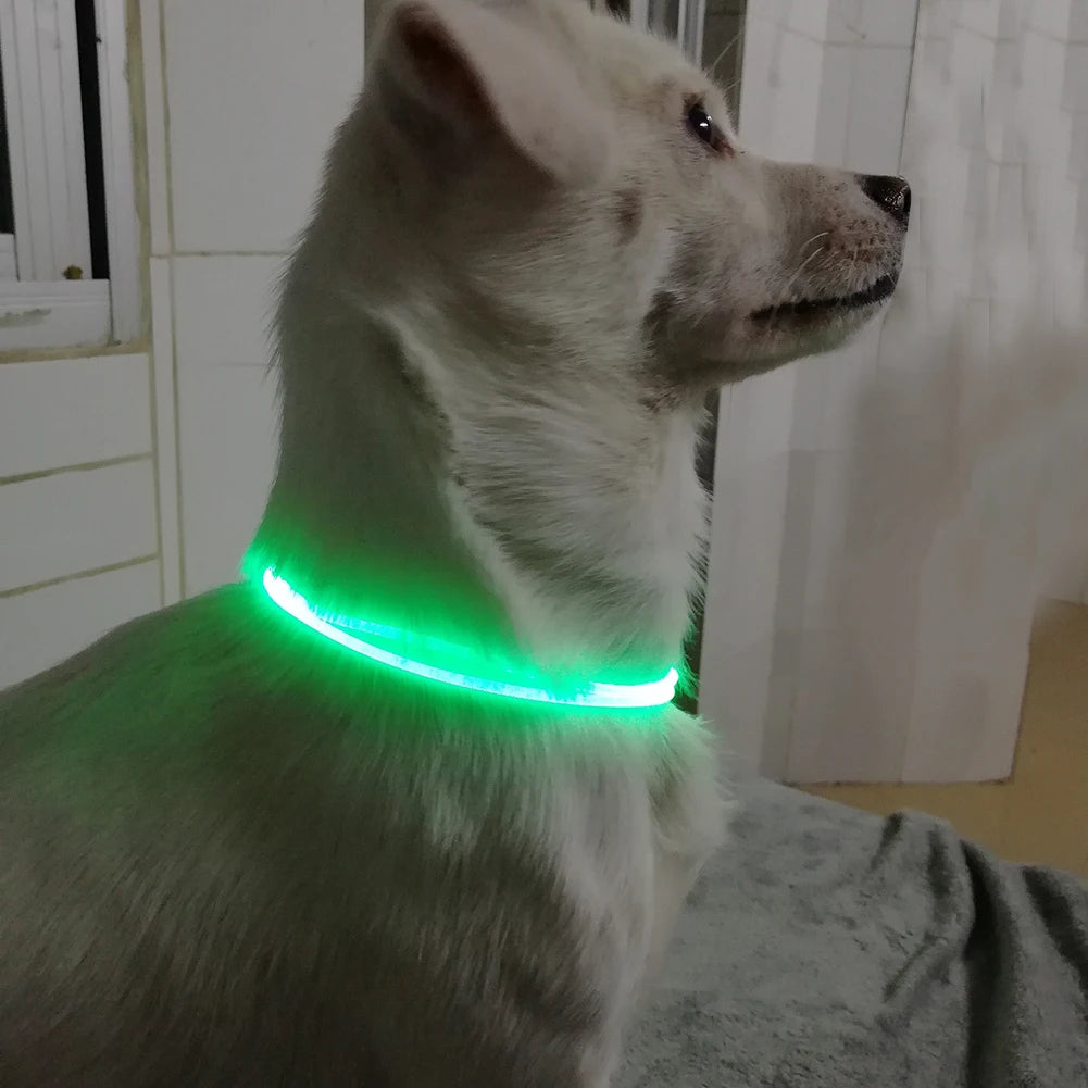 Adjustable LED Pet Collar Luminous Pet Safety Collars