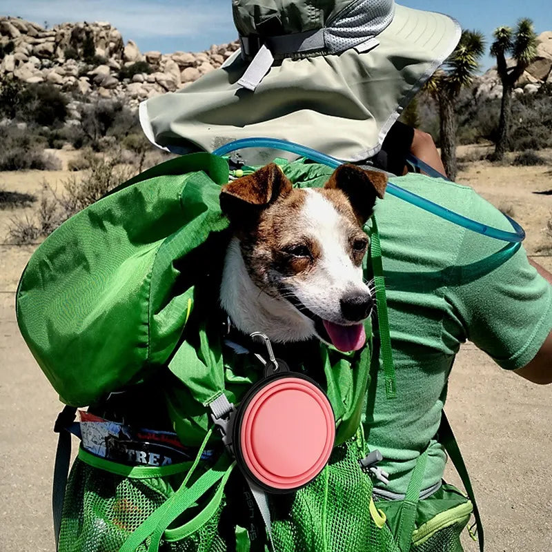 Collapsible Dog Bowl Pet Folding Silicone Bowl