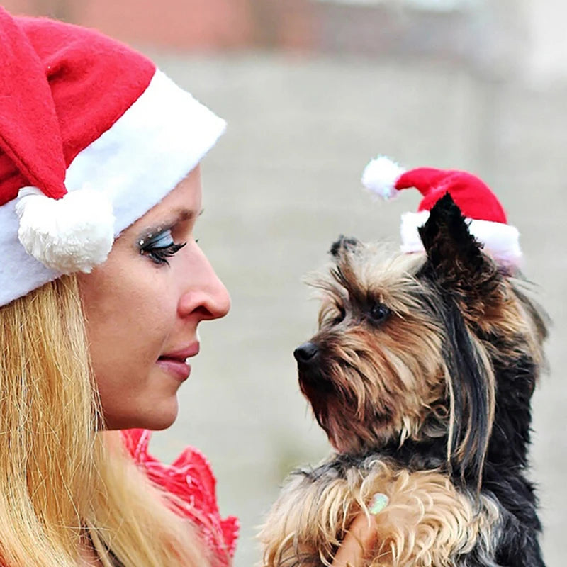 Christmas Pet Santa Hat Small Puppy Cat Dog