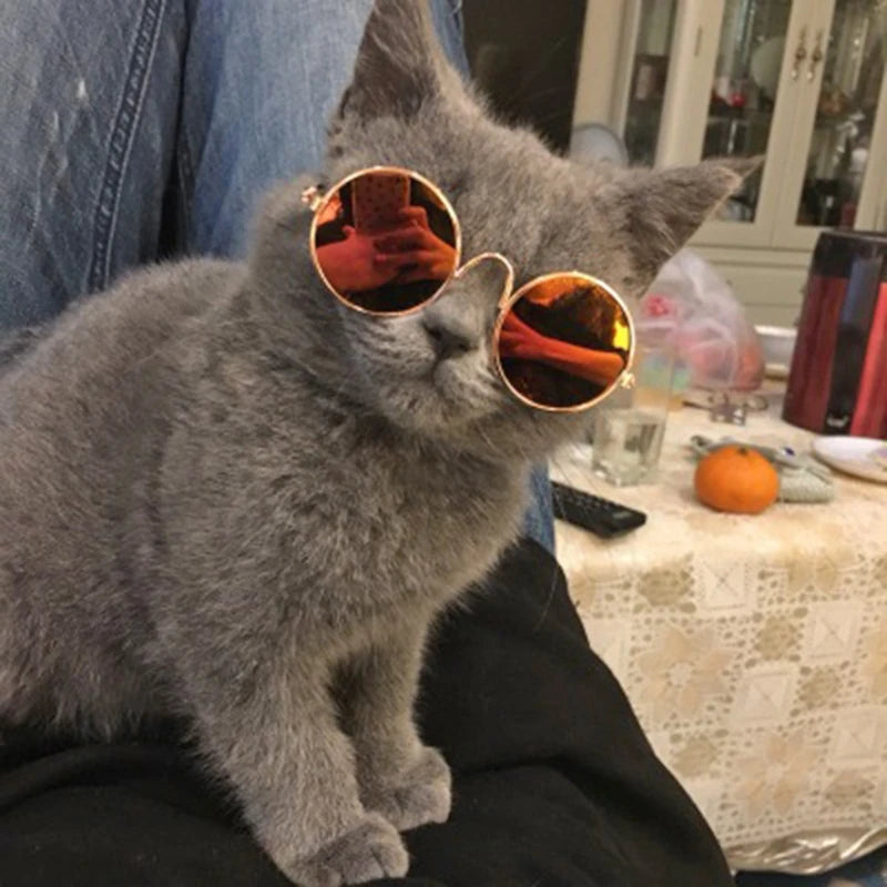 Doll Cool Glasses Pet Sunglasses