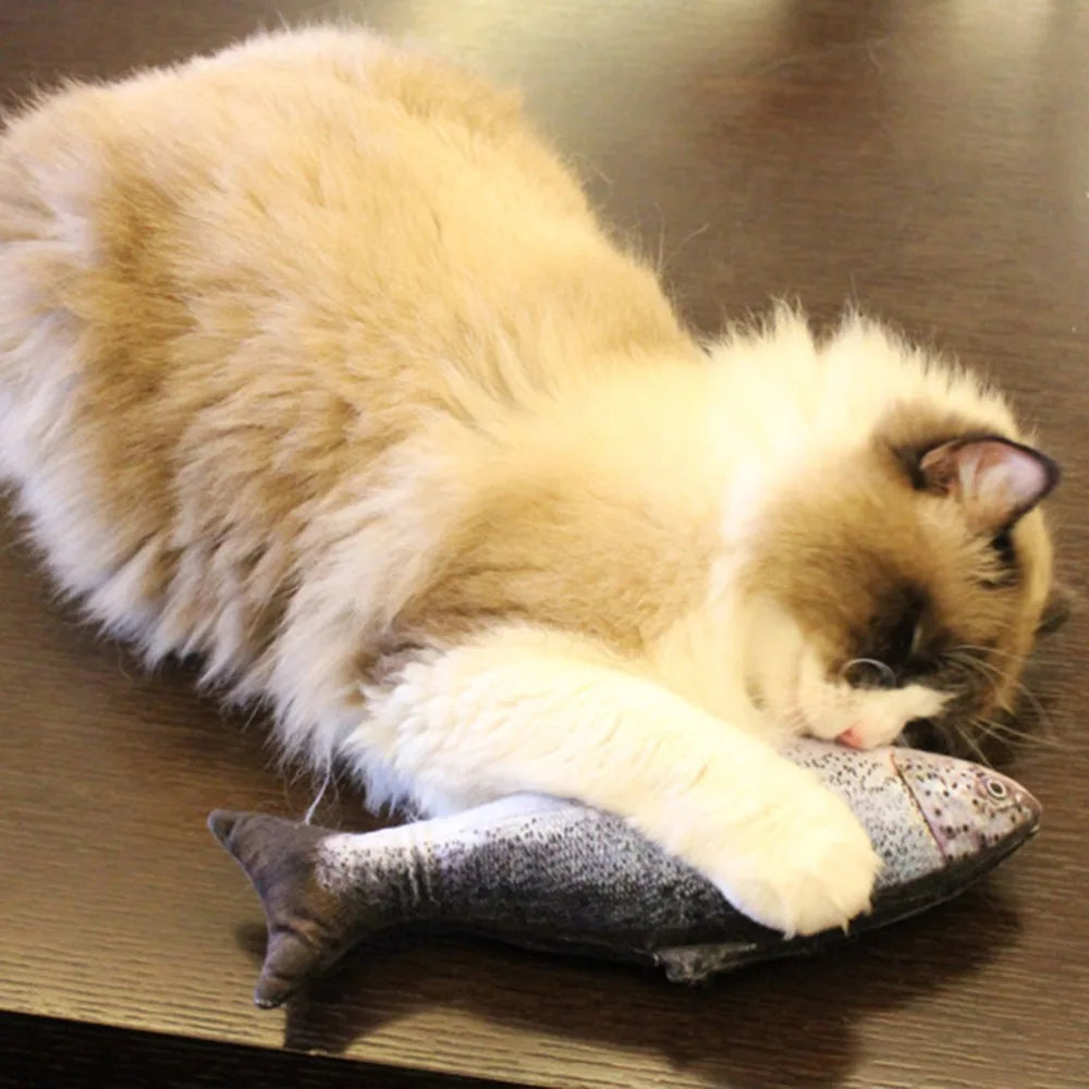 Cat Favor Fish Toy Stuffed Fish Shape