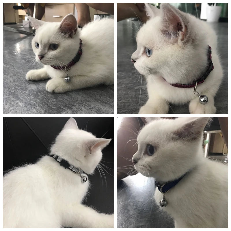 Adjustable Cat & Dog Collar with Bell - Safety Collar for Pets
