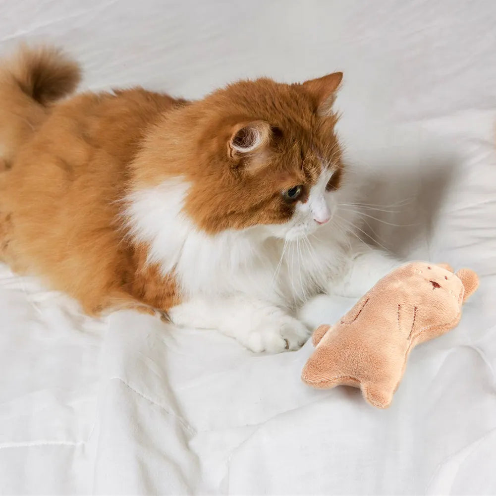 Cute Pets Cat Toy