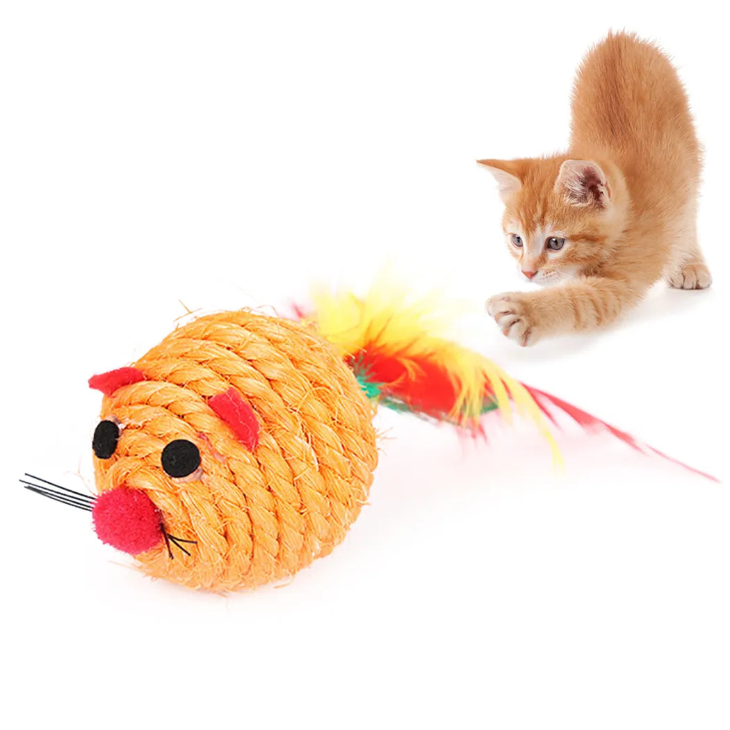 Interactive Cat Wand Toy - Feather Fishing Rod for Indoor Cats