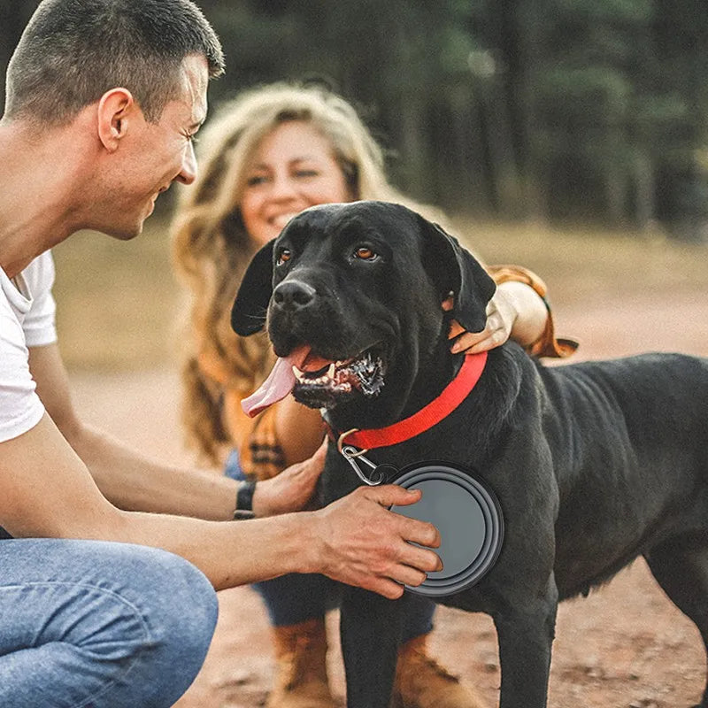 Collapsible Dog Bowl Pet Folding Silicone Bowl