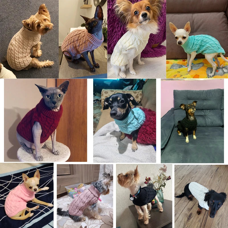 Dog Sweaters for Small Dogs Winter Warm Dog Clothes