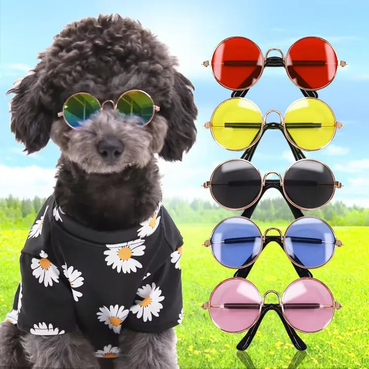 Pet Cat Glasses Dog Glasses Pet Products