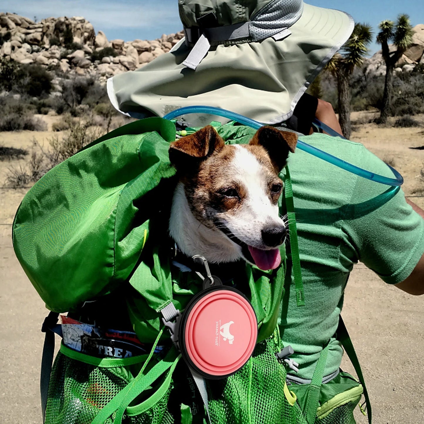 Furrybaby Collapsible Dog Bowls for Travel Dog