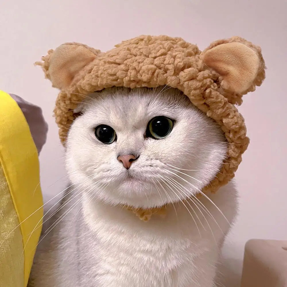 Cute Pet Bear Shaped Hat