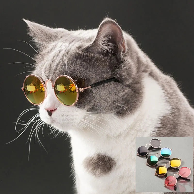 Pet Cat Glasses Dog Glasses Pet Products